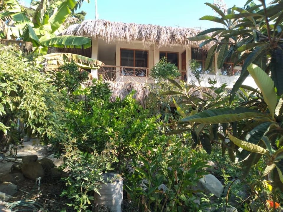 Property building, Garden