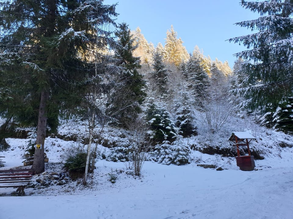 Winter