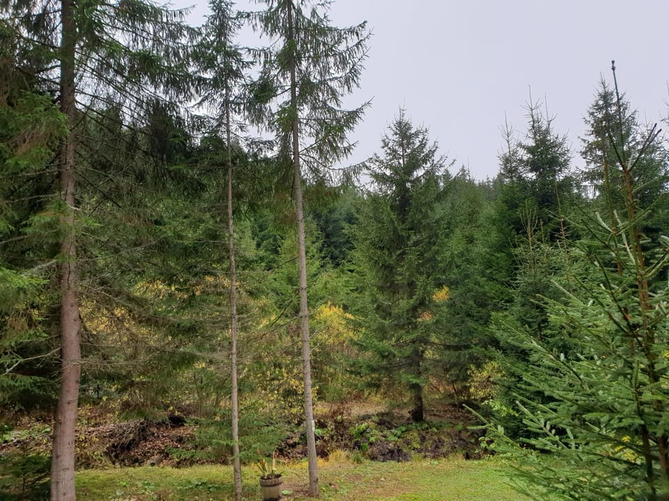 Natural landscape
