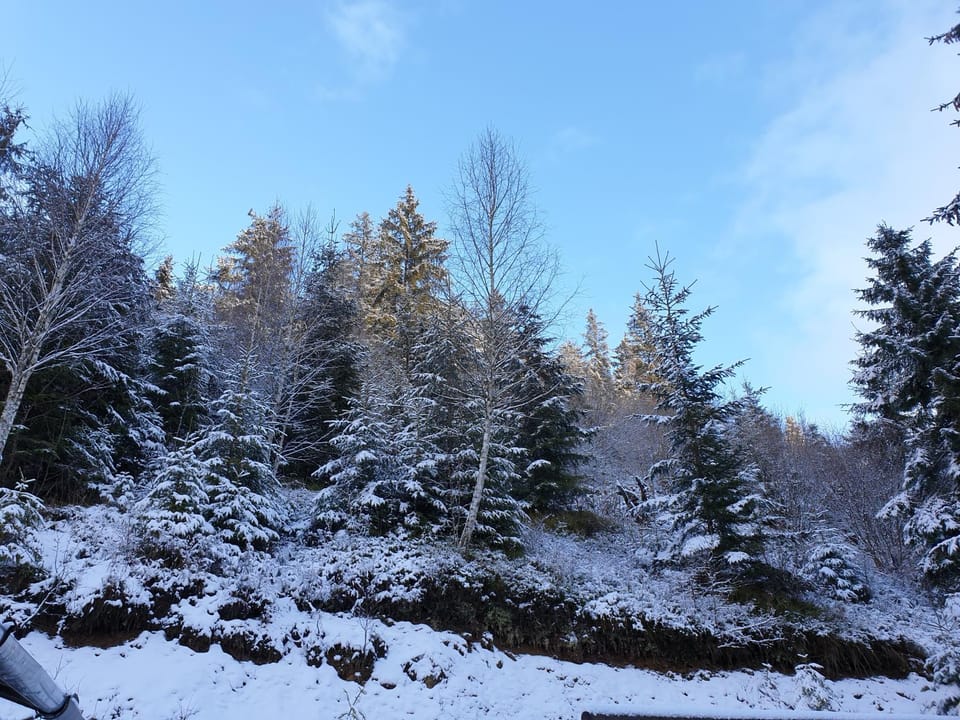 Natural landscape