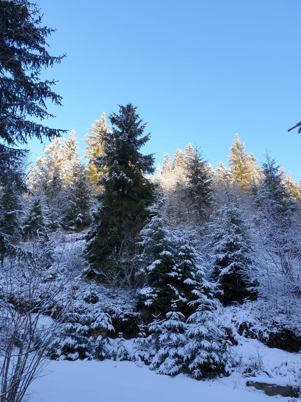 Natural landscape
