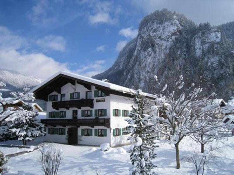 Winter