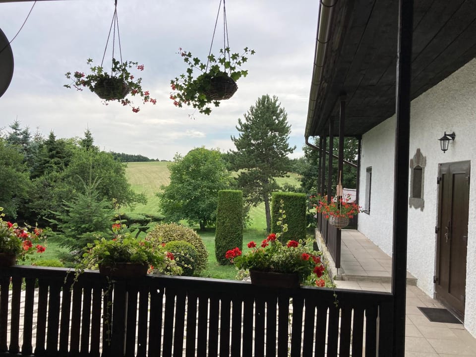 Property building, Garden view