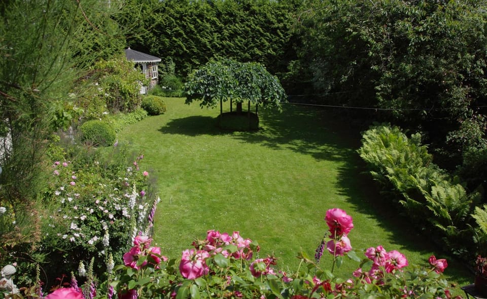 City view, Garden view