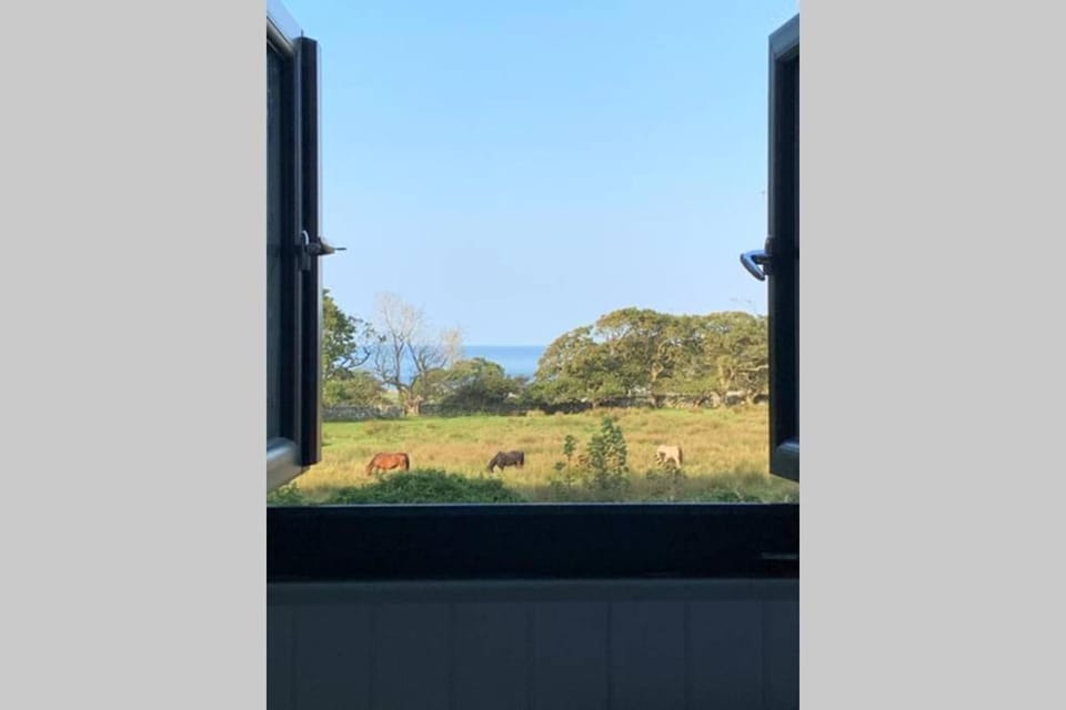 Lle Mary - Beautiful views, Hot tub, Secluded, Dog Welcome, Barmouth House in Wales