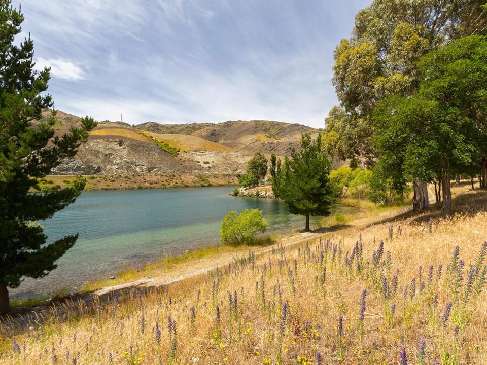 Sunhaven Lakeside - Cromwell Holiday Home House in Otago