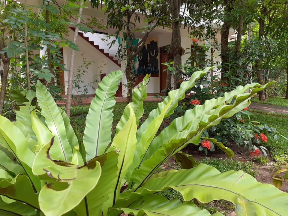 Yonara Green Rest Apartment in Sri Lanka