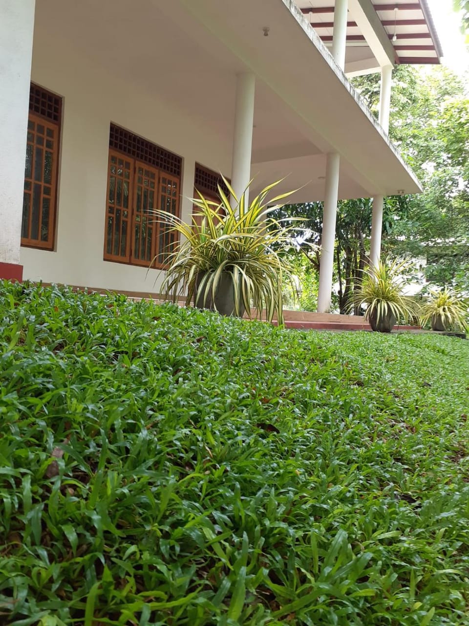 Yonara Green Rest Apartment in Sri Lanka