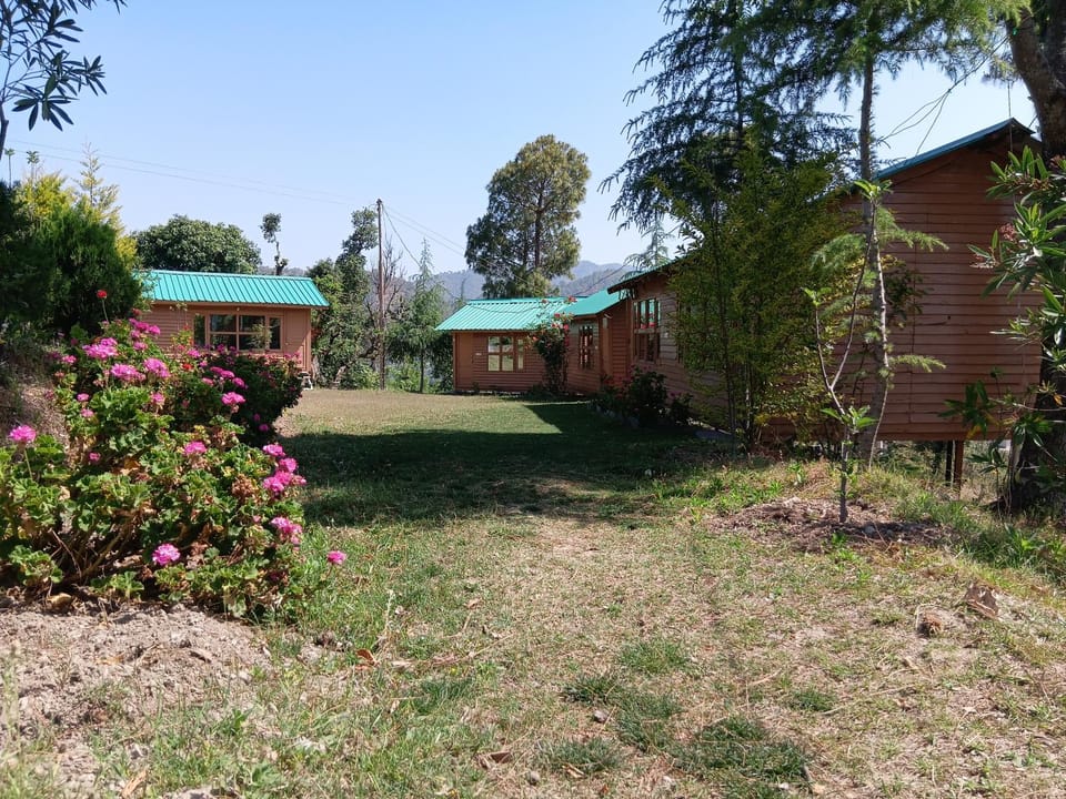 Golden valley cottages, Chail Resort in Himachal Pradesh