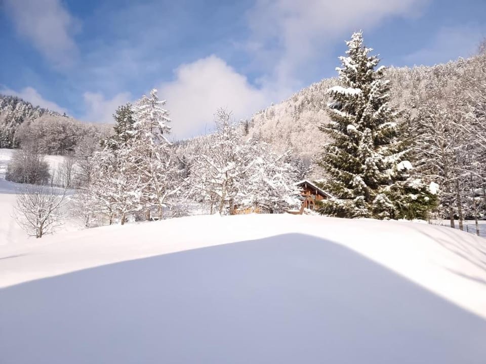 Beim Thöny Apartment in Salzburgerland