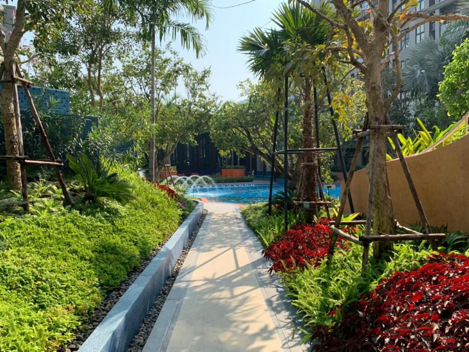 Pool view