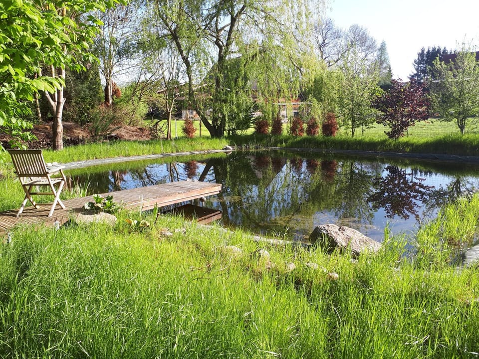 Swimming pool, Open Air Bath