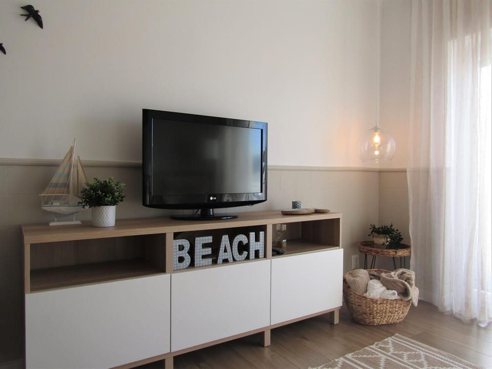 TV and multimedia