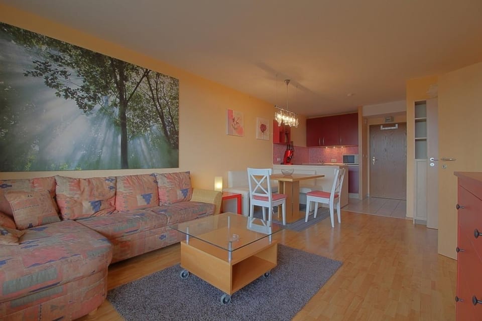 Apartment 551 Apartment in Braunlage