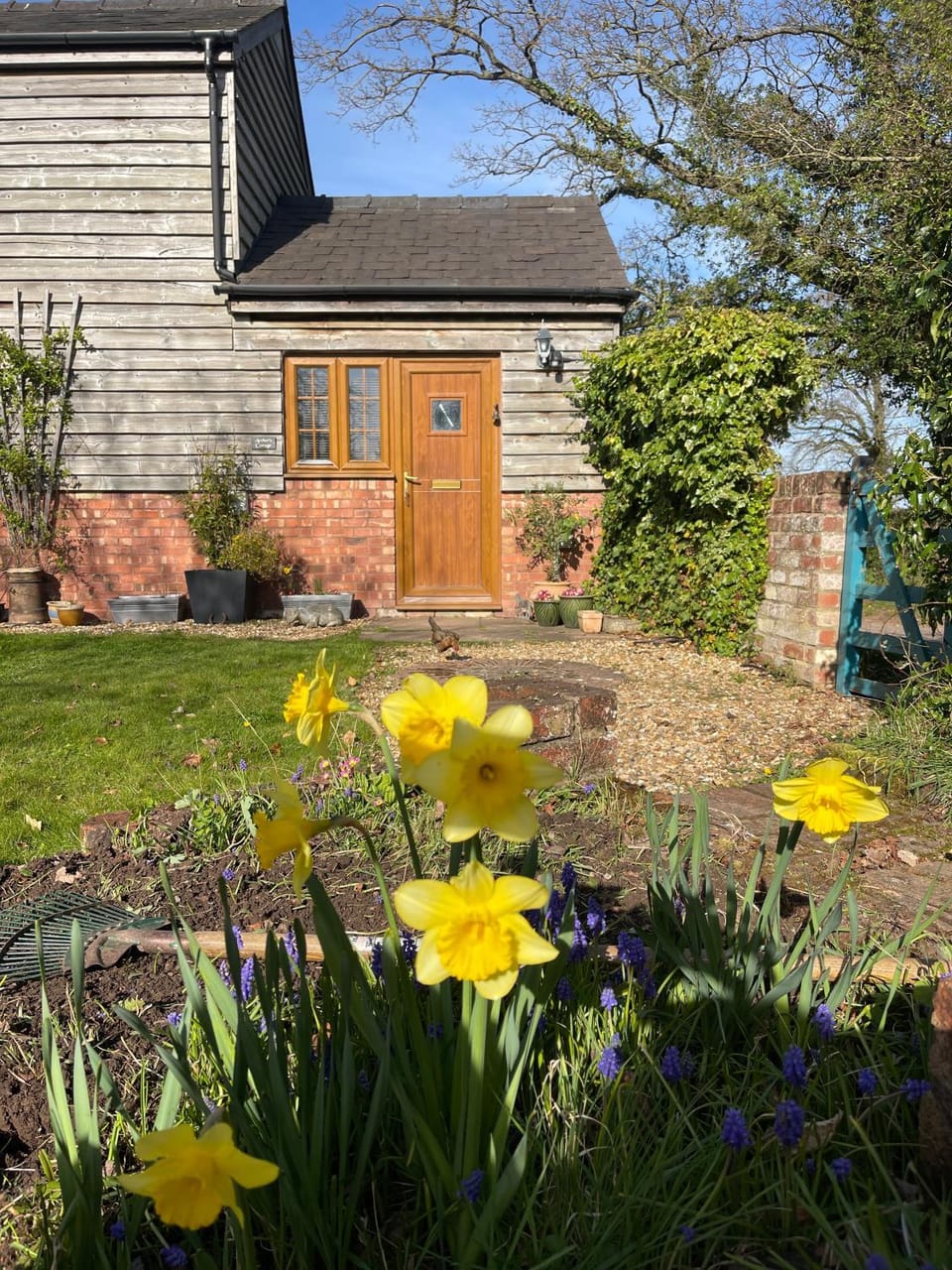 Property building, Spring, Day, Garden, Garden view
