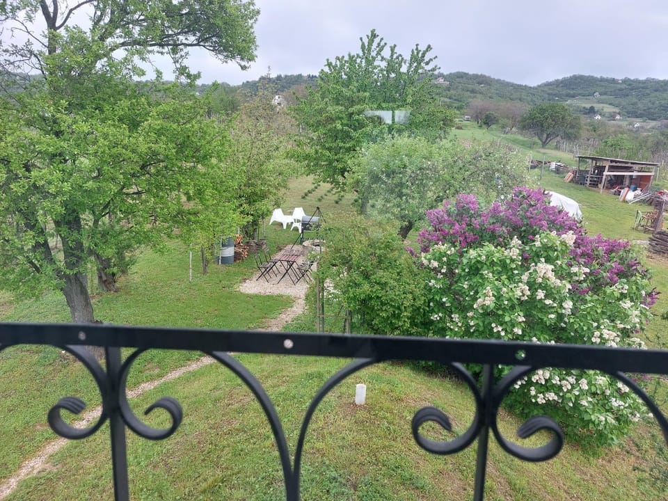 Spring, Garden, Balcony/Terrace, Garden view