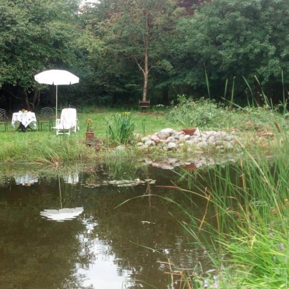 Zimmer mit Teichblick Bed and Breakfast in Schleswig-Holstein