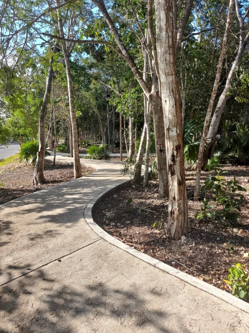 Area and facilities