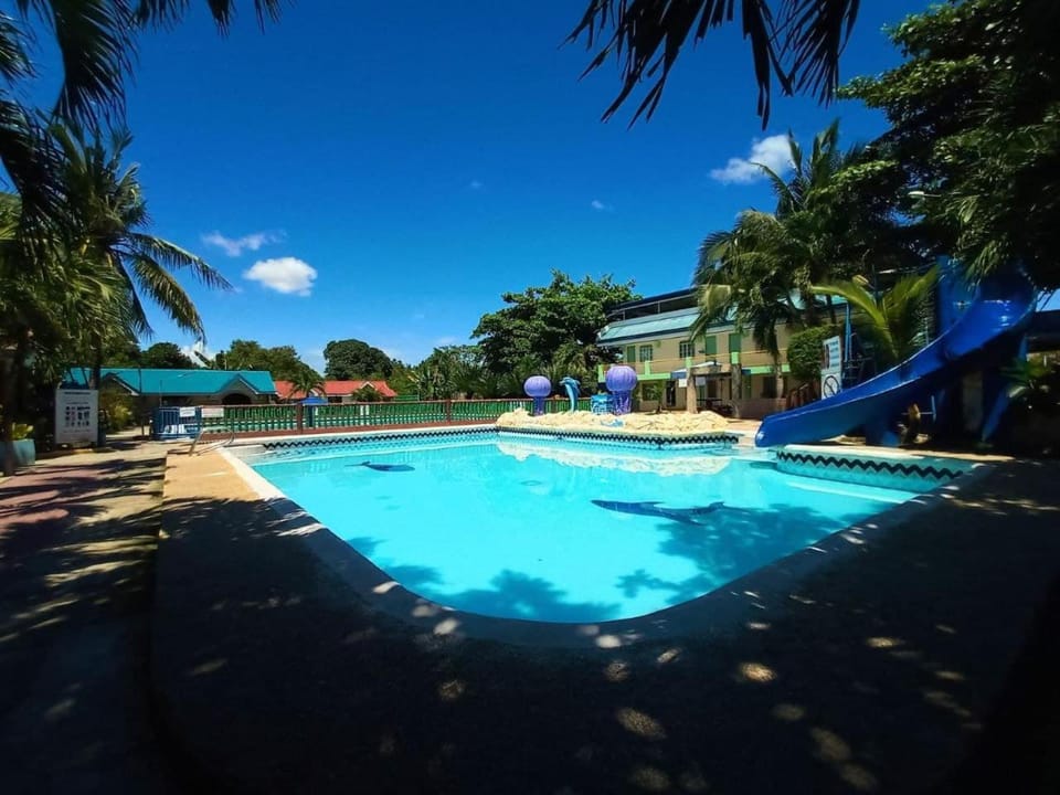 Day, Pool view, Swimming pool