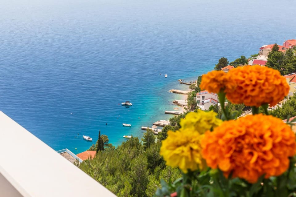 Natural landscape, Sea view