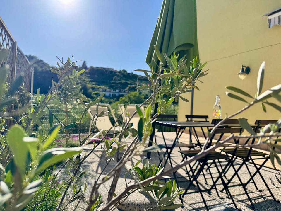 Patio, Natural landscape, Garden, Garden view