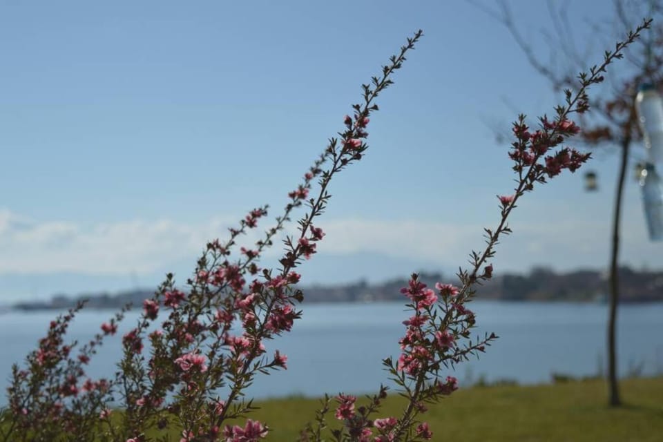Natural landscape