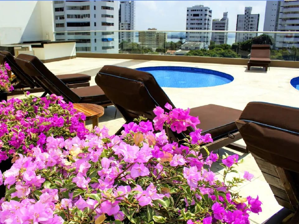 Pool view, Swimming pool