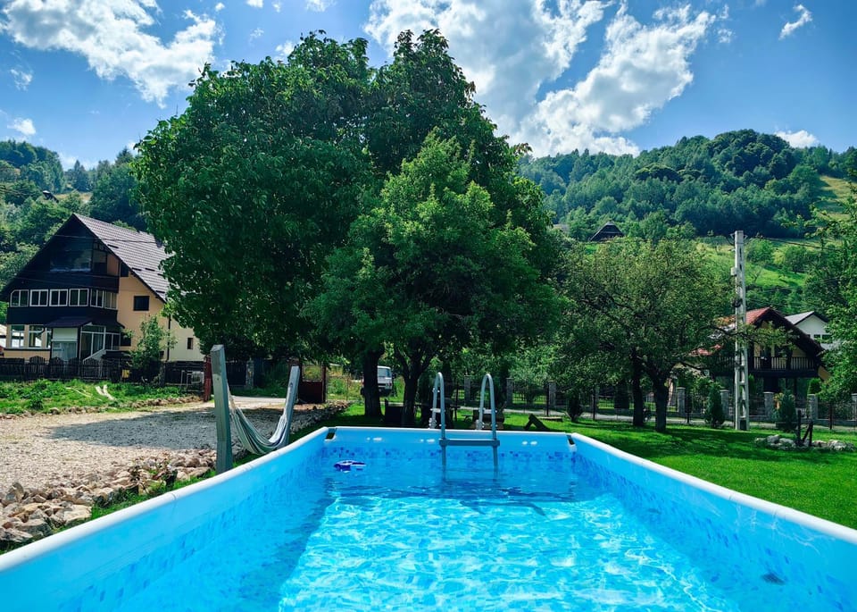 Voinescu House - Natural Living & Eating Farm Stay in Brașov County