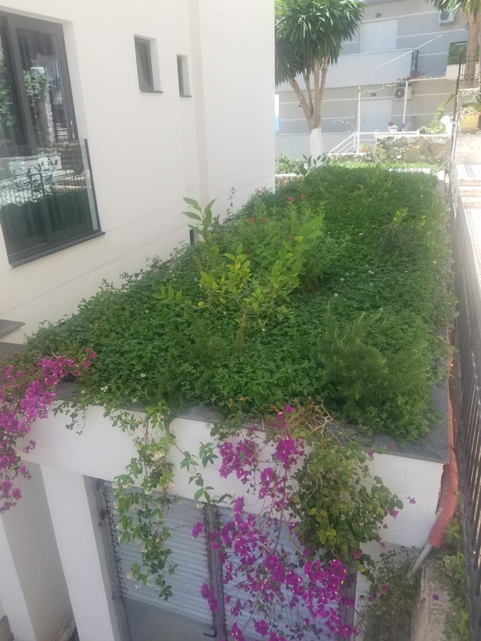 Garden, Garden view