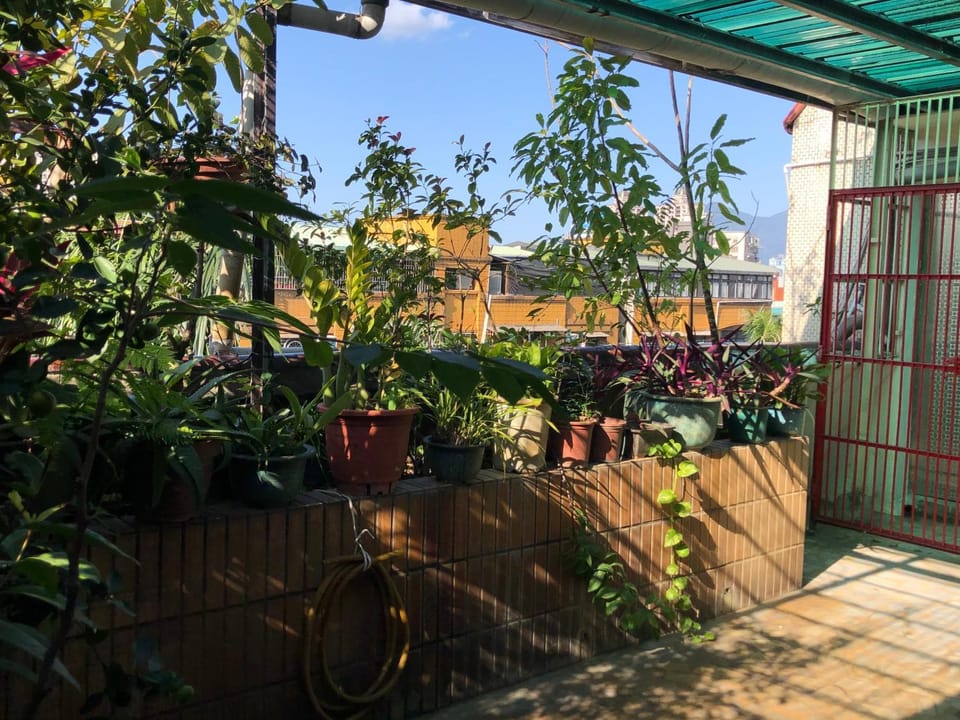 Patio, Balcony/Terrace, Garden view