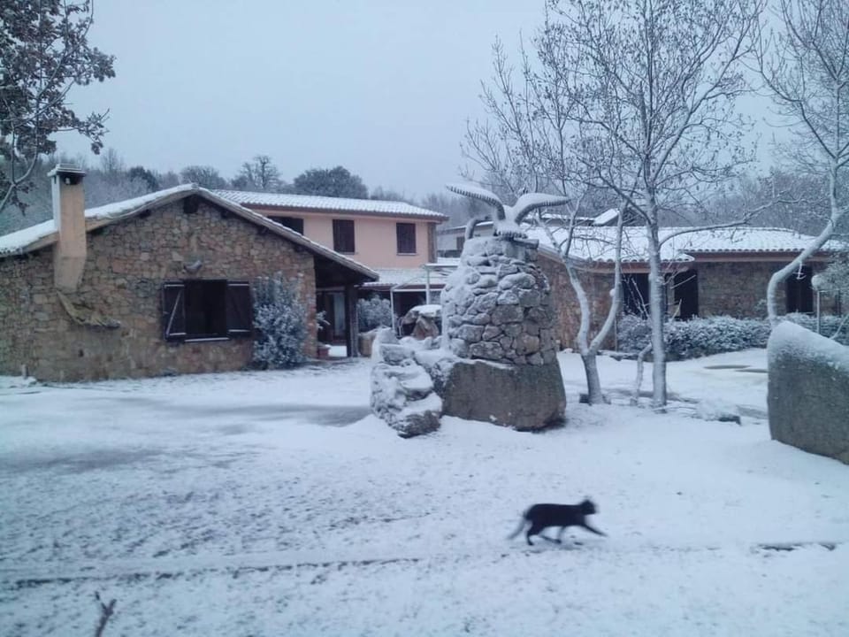 Property building, Winter
