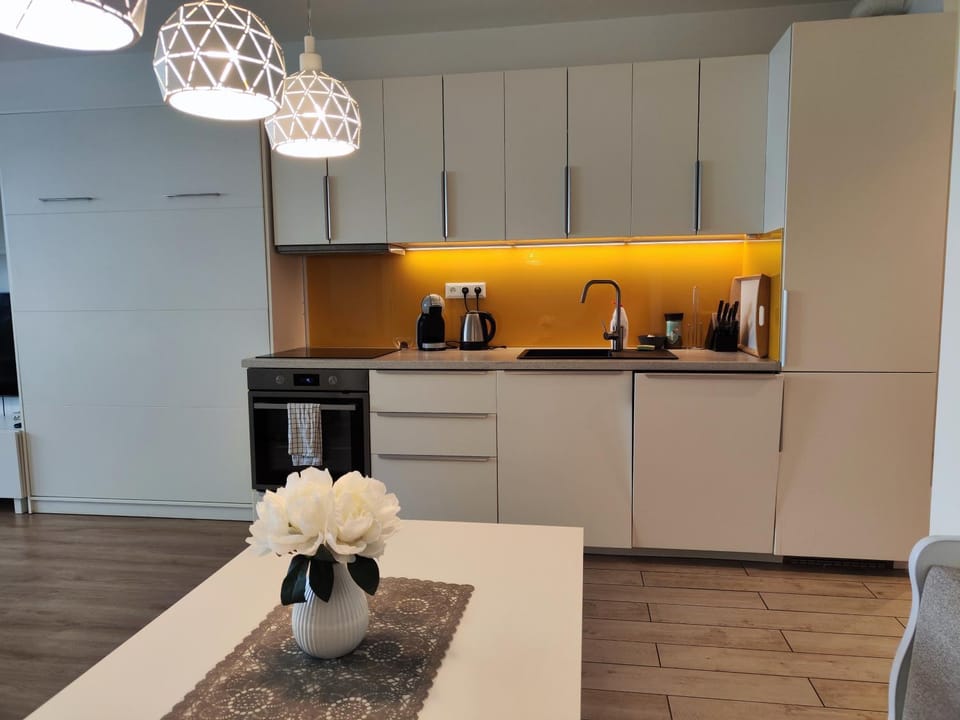 Coffee/tea facilities, Kitchen or kitchenette, stove