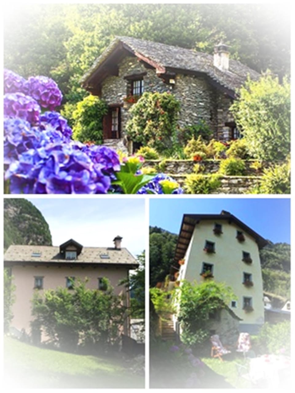 Property building, Garden view