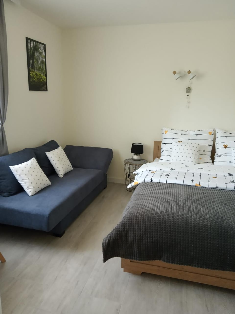 Photo of the whole room