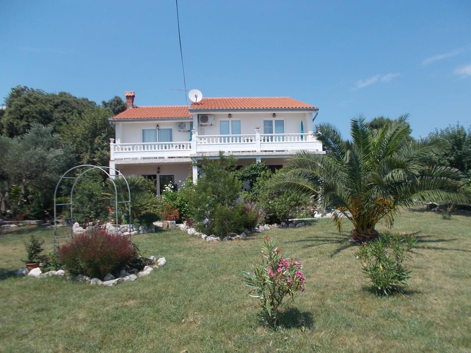 Property building, Area and facilities