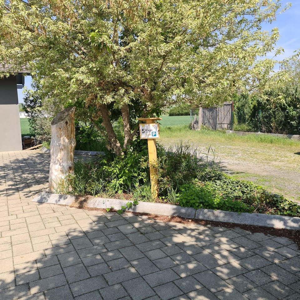 Day, Parking
