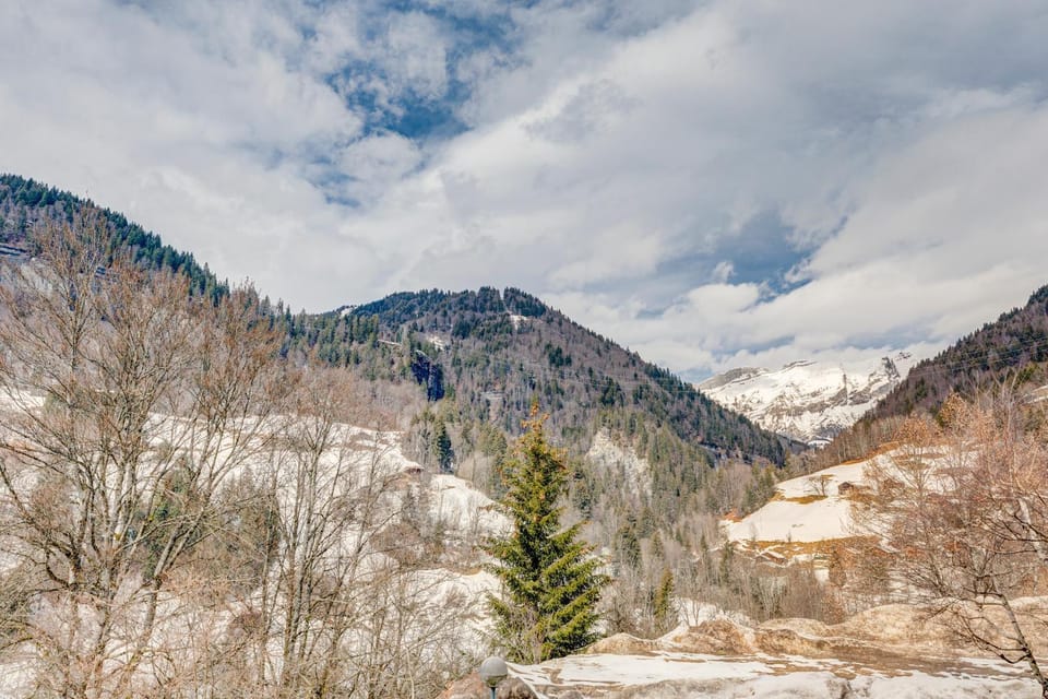 Other, Mountain view