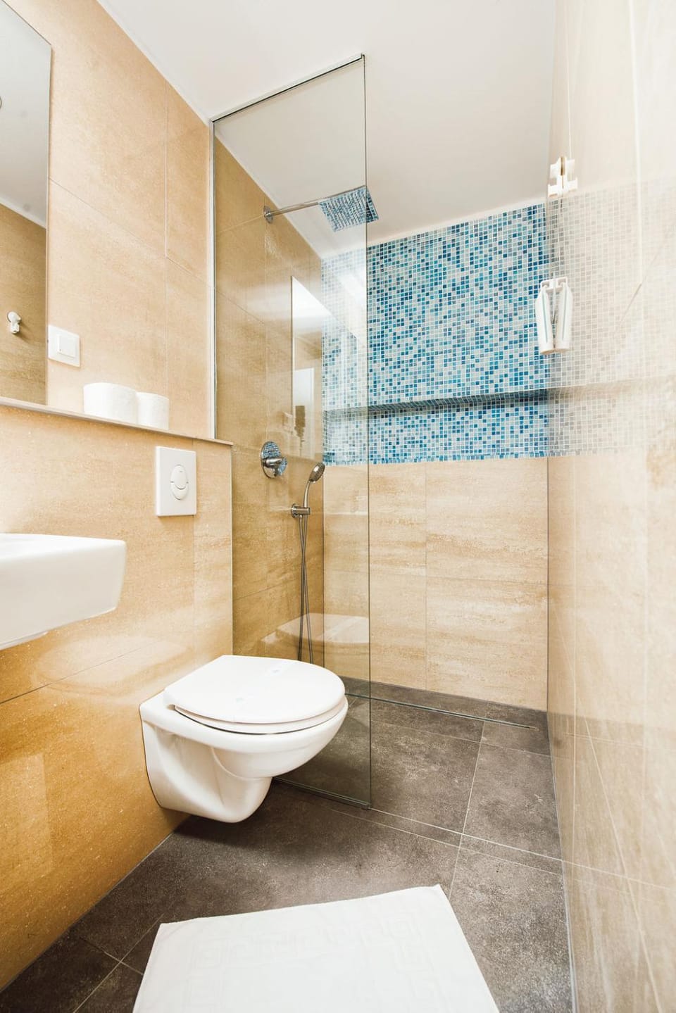 Shower, Toilet