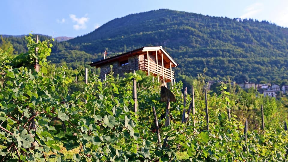 Una casa tra gli alberi Bed and Breakfast in Province of Brescia