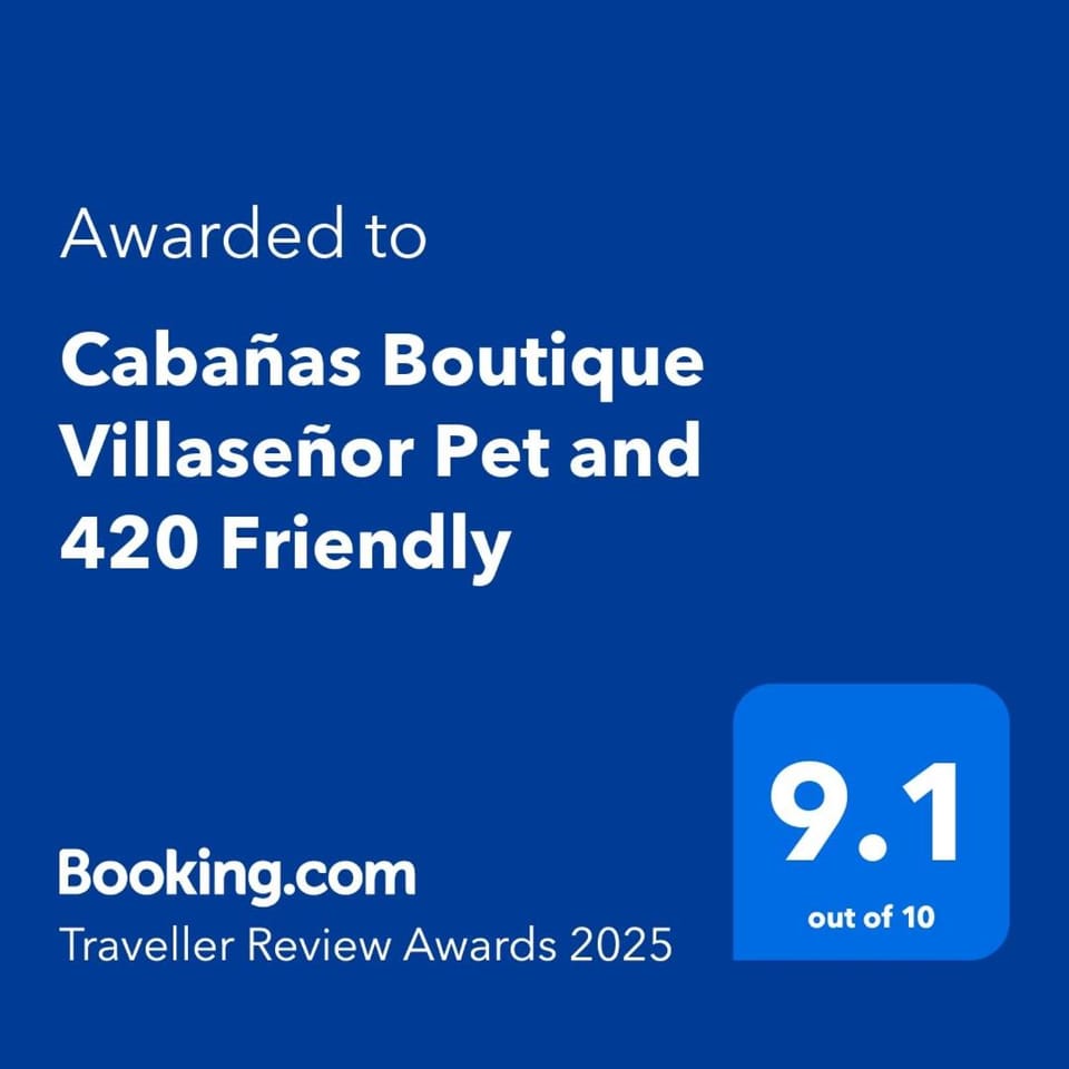 Cabañas Boutique Villaseñor Pet and 420 Friendly Nature lodge in Hidalgo, Mexico