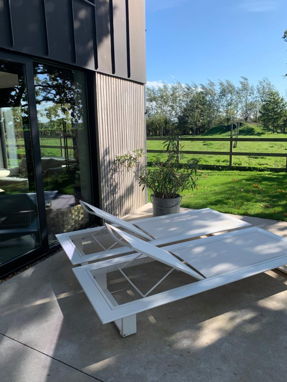 Garden, Garden view, sunbed