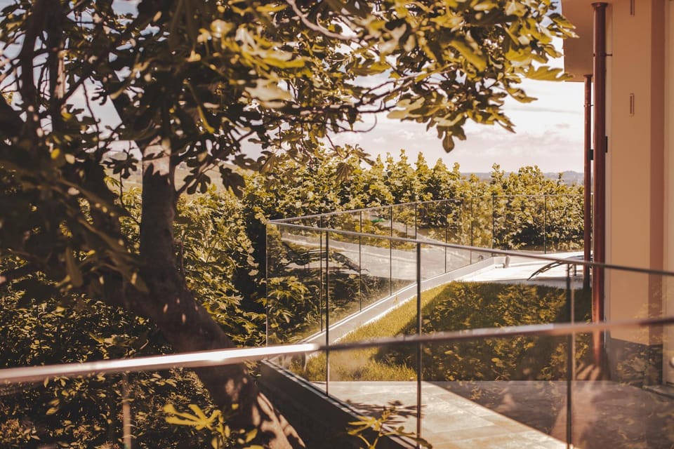 Balcony/Terrace, Garden view