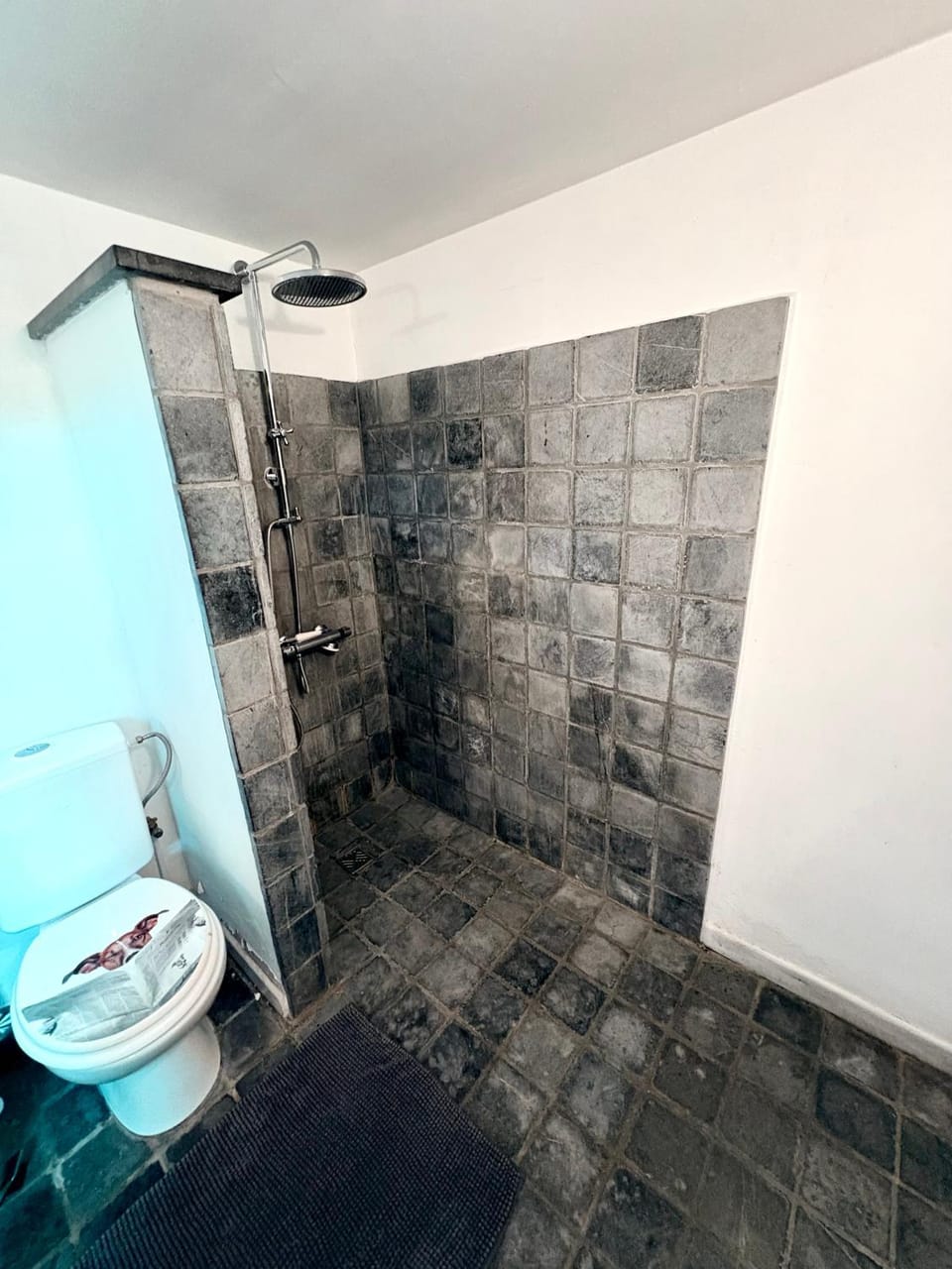 Shower, Toilet