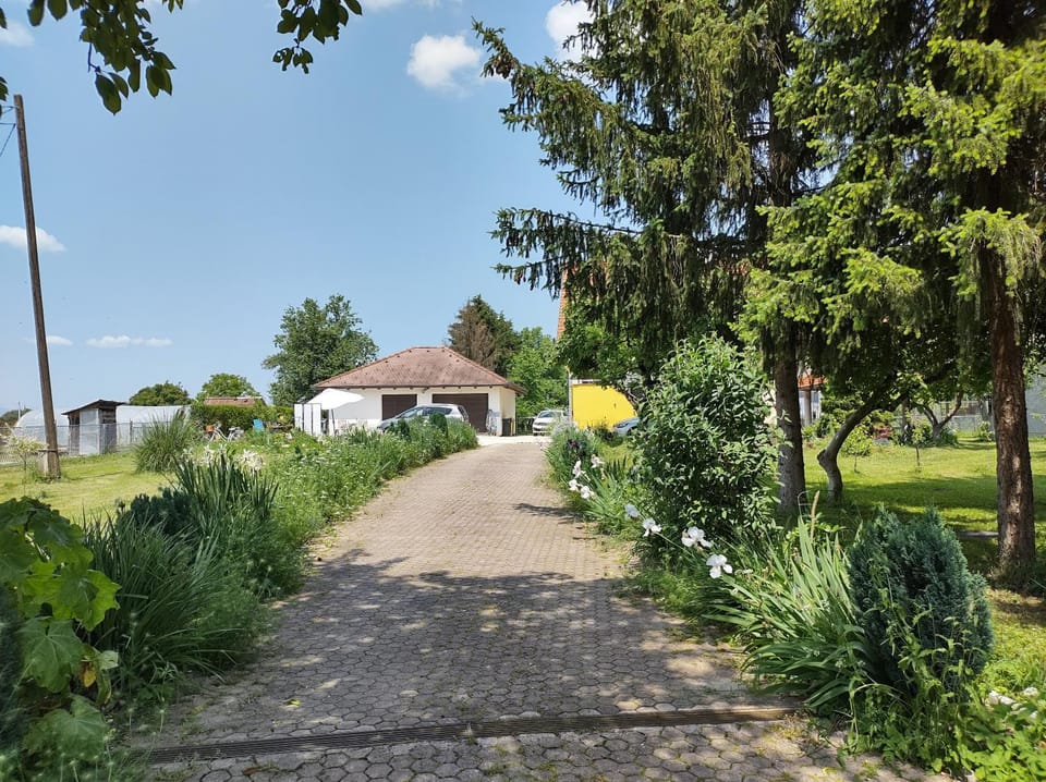 Villa Drenje House in Croatia