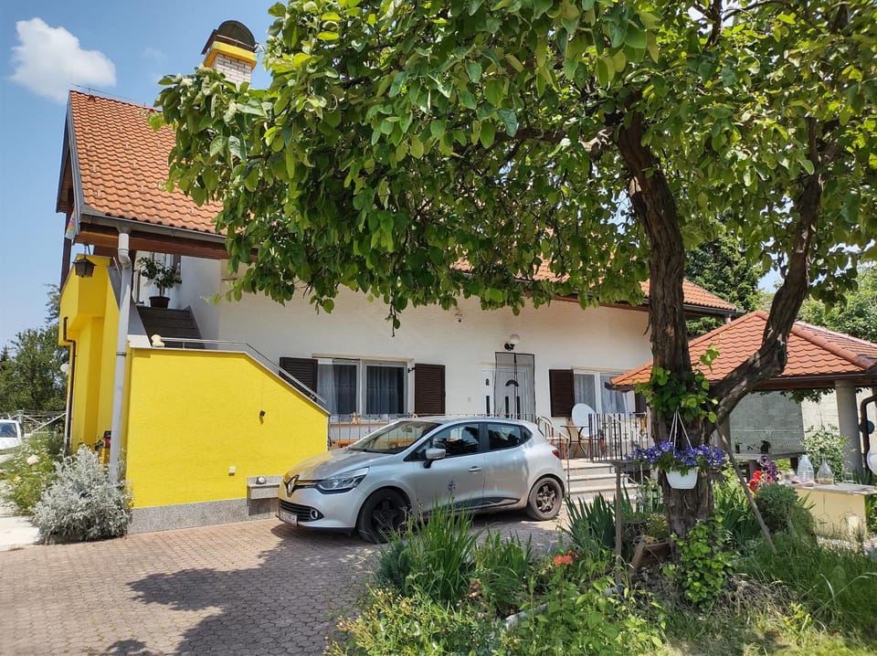 Villa Drenje House in Croatia