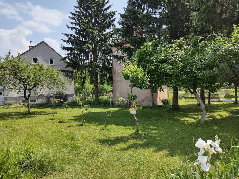 Villa Drenje House in Croatia