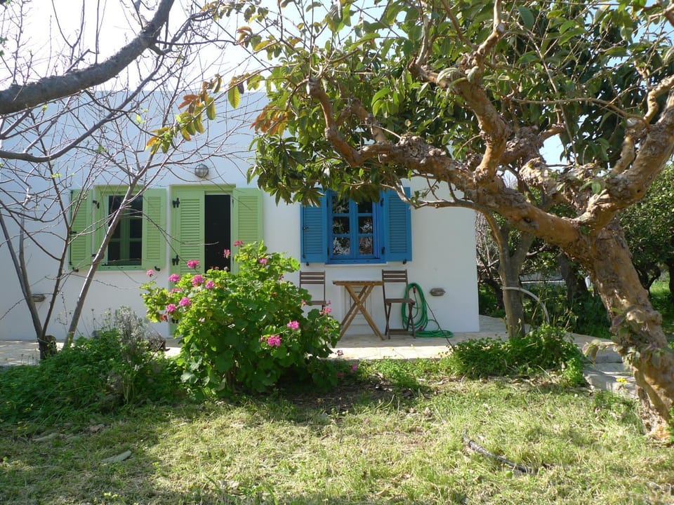 Seating area, Garden view