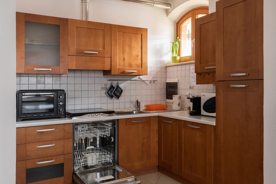 Coffee/tea facilities, Kitchen or kitchenette, minibar, pet friendly, laundry