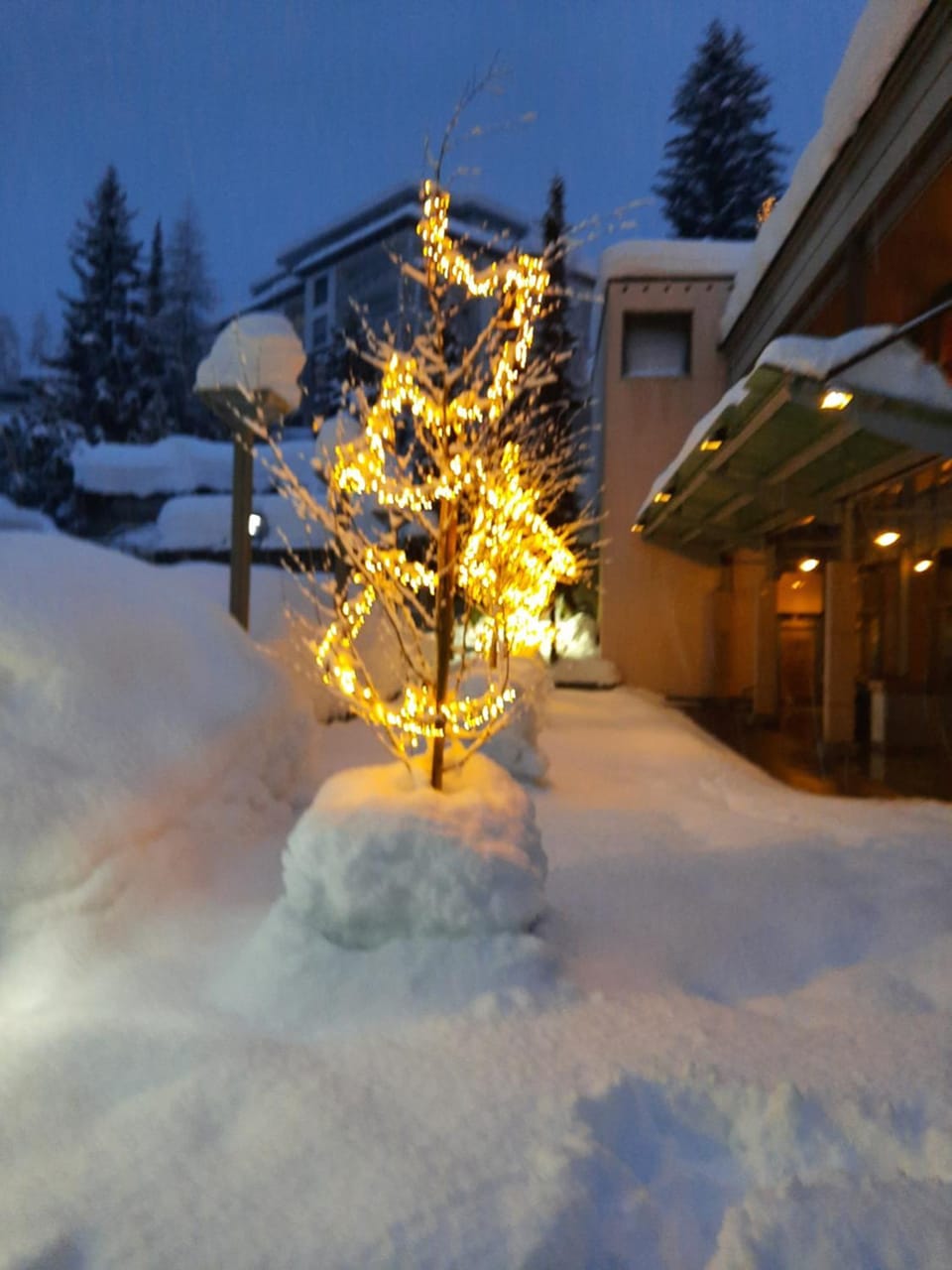 Property building, Casino