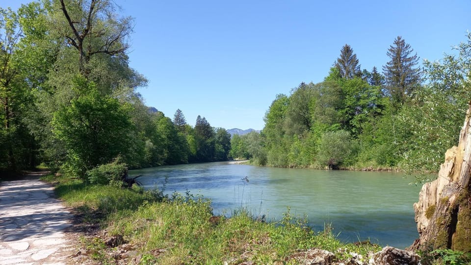 Haus Elisabeth Bed and Breakfast in Salzburgerland